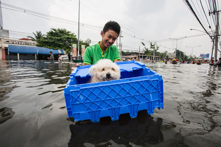 Nonthaburi flood in Thailand 2011-The lifestyle of people in massive flooding, Nonthaburi in Thailand, October 20, 2011のeditorial素材