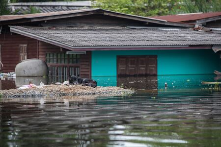 Nonthaburi flood in Thailand 2011-The lifestyle of people in massive flooding, Nonthaburi in Thailand, October 28, 2011のeditorial素材