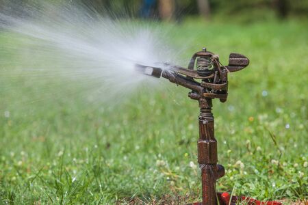 Sprinkler spraying water in the public park.の写真素材