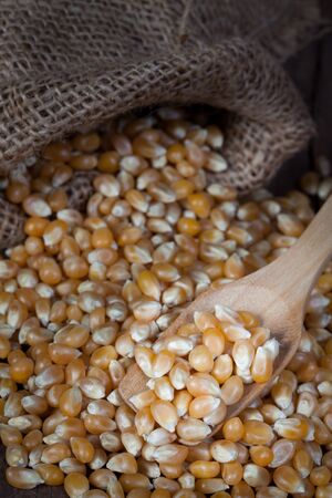 The dry corn kernels on wooden spoon with are poured out from the hemp sack onto the wooden table.の写真素材