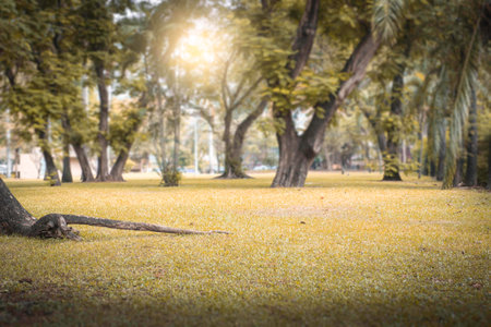 Suanlumpini park at Thailand.の写真素材