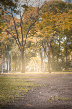 Autumn patk in the city.の写真素材