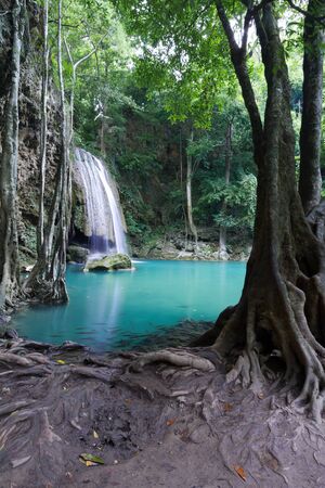 Deep forest waterfall  Erawan Waterfall  in Thailandの写真素材