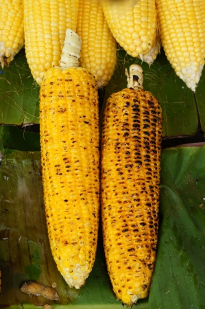 Grilled Yellow Sweet Corns on Bana Leaf の写真素材