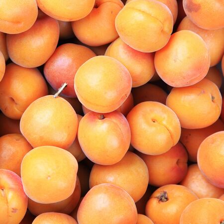Ripe fresh peaches (Prunus mume or Japanese apricot)の写真素材