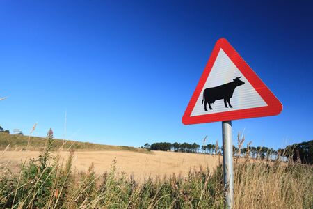 Waring sign for cow in  the country side in Aberdeen, Scotland UKの写真素材