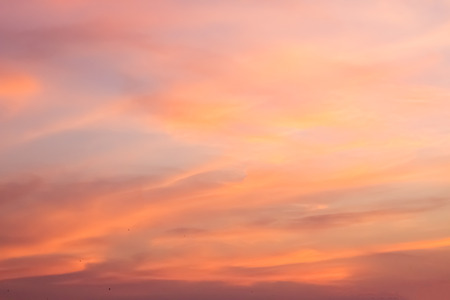 Orange sunset light in winter, surrounded by beautiful nature.の写真素材