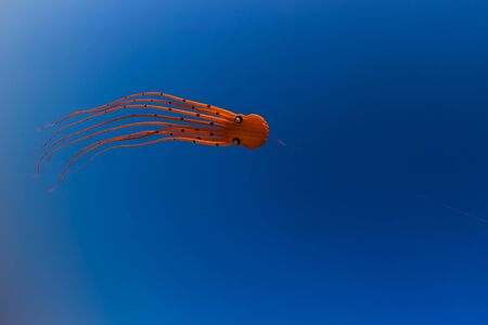 Orange Octupus Kite in the blue skyの写真素材
