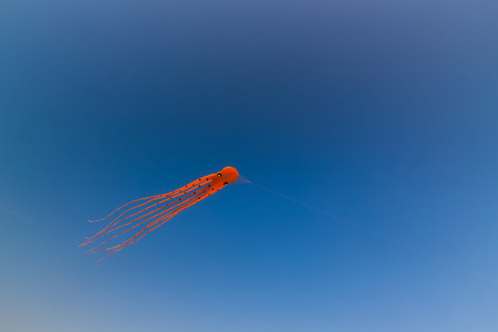 Orange Octupus Kite in the blue sky