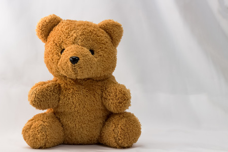 Little Brown Bear Doll on White backgroundの写真素材