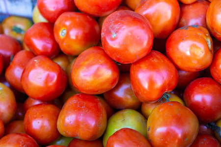 The bulk of fresh tomato with dirt dust from the farmの写真素材