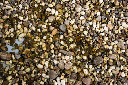 Pebbles on the beachの写真素材