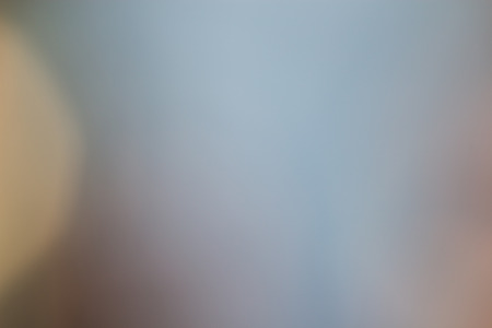 Sunny Abstract Grey  Nature Background, Selective Focus.の写真素材