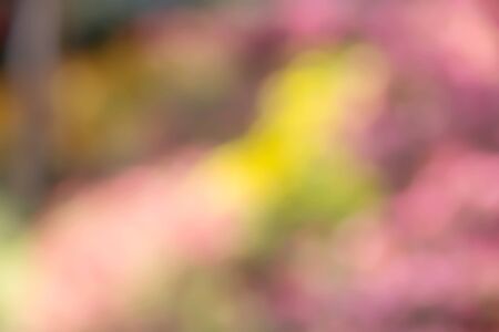 Abstract colourful backgroundの写真素材