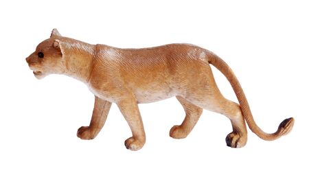 rubber lion on white backgroundの写真素材