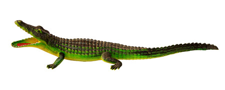 Crocodile toy on White Backgroundの写真素材
