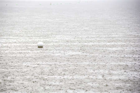 Rainy day, Rain and water ripplesの写真素材