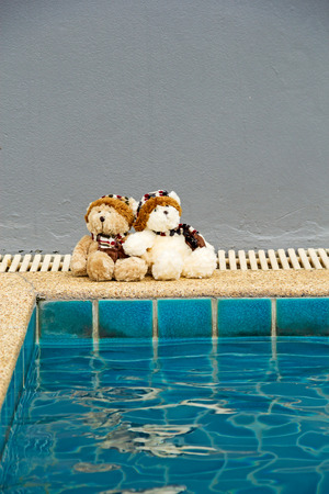 Teddy Bear sitting near swimming Poolの写真素材