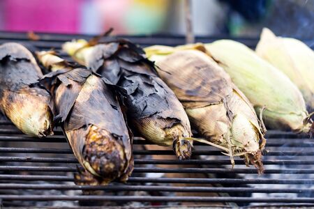 Corn on the Cob grilling on a Grillの写真素材