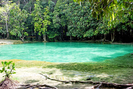 Emerald Pool. Krabi, Thailandの写真素材