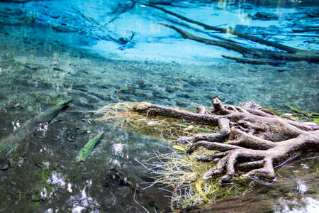 Emerald Pool. Krabi, Thailandの写真素材