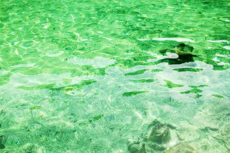 Emerald Pool. Krabi, Thailandの写真素材