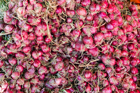 Shallot onions a group in the market.の写真素材