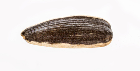 sunflower seeds, isolated on white backgroundの写真素材