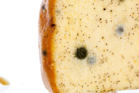 Moldy bread isolated on white backgroundの写真素材
