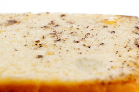 Moldy bread isolated on white backgroundの写真素材
