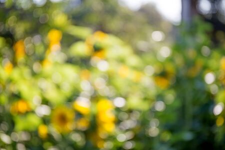 Abstract nature backgroundの写真素材