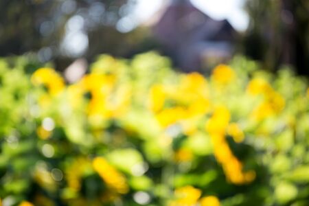 Abstract nature backgroundの写真素材