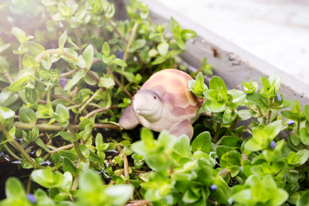 Turtle clay dolls on for garden decorの写真素材