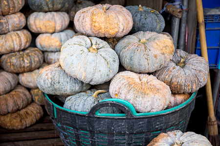 The group of pumpkins, the green pumpkins in market, Thailandの写真素材