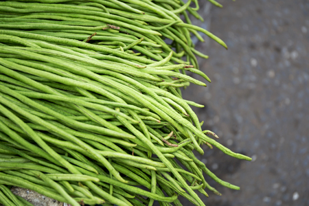 Yard Long Bean put stacked in the market, Thailandの写真素材