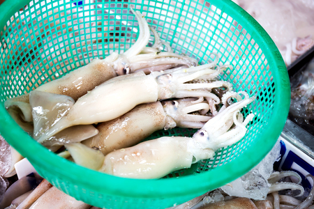 Fresh group of squid in seafood market, Thailandの写真素材