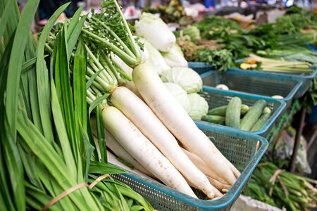 Fresh of white radishes in marketの写真素材