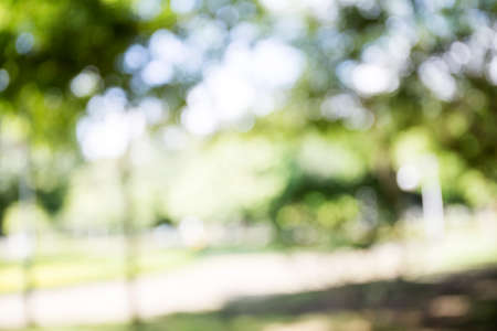 Blur green natural and light backgroundの写真素材