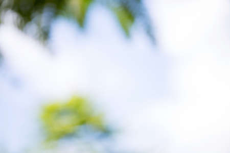 blur natural and light backgroundの写真素材