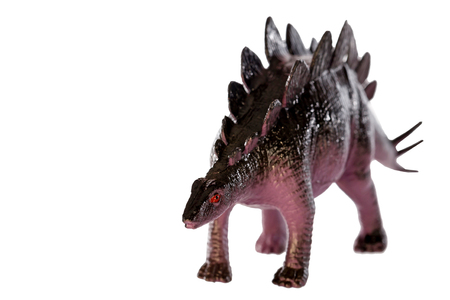 Stegosaurus dinosaurs toy isolated on white backgroundの写真素材