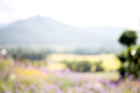 Abstract nature backgroundの写真素材