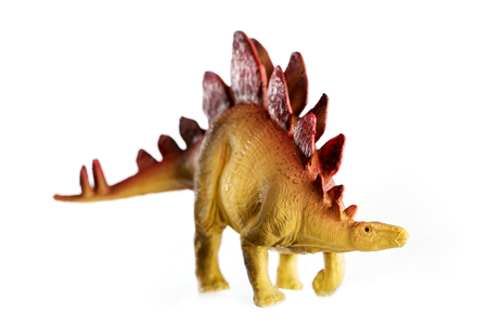 Dinosaur stegosaurus and monster model Isolated white backgroundの写真素材