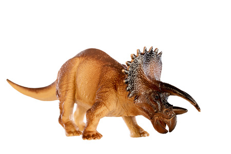 Dinosaur triceratops and monster model Isolated white backgroundの写真素材