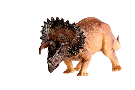 Dinosaur triceratops and monster model Isolated white backgroundの写真素材