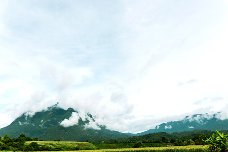 Cloud cover view of the natural Doi Luang Chiang Dao, Chiang Mai, Thailandの写真素材