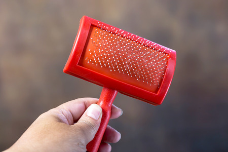 Brush for dog or cat with a scrap of furの写真素材
