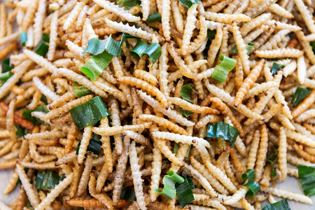 Fried Insect street food of Thailandの写真素材