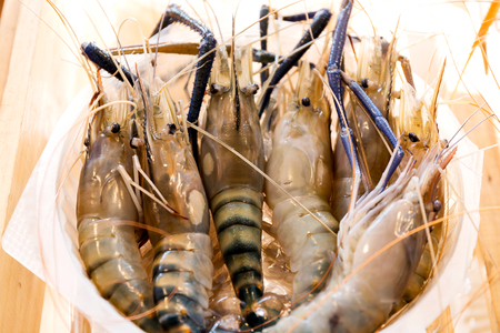 Fresh shrimp are sold in the market every day.の写真素材
