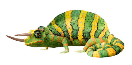 lizard iguana toy on white backgroundの写真素材