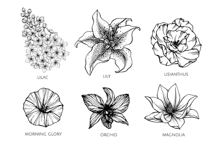 Collection Set Of Flower Drawing Illustration For Pattern Logo